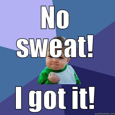 8CS OF DIGITAL LITERACY? NO SWEAT!I GOT IT! Success Kid