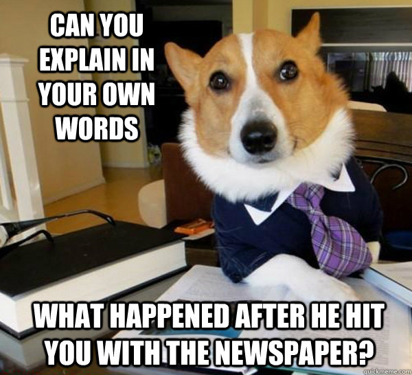 Can you explain in your own words what happened after he hit you with the newspaper? - Can you explain in your own words what happened after he hit you with the newspaper?  Lawyer Dog