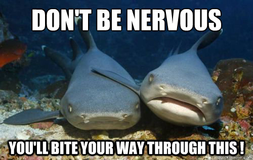 DOn't Be Nervous You'll Bite your way through this !  Compassionate Shark Friend