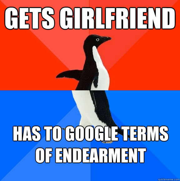 Gets girlfriend has to google terms of endearment   Socially Awesome Awkward Penguin