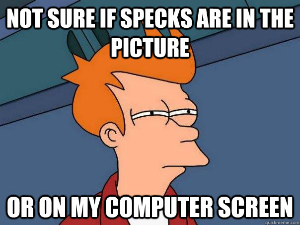 Not sure if specks are in the picture or on my computer screen - Not sure if specks are in the picture or on my computer screen  Futurama Fry