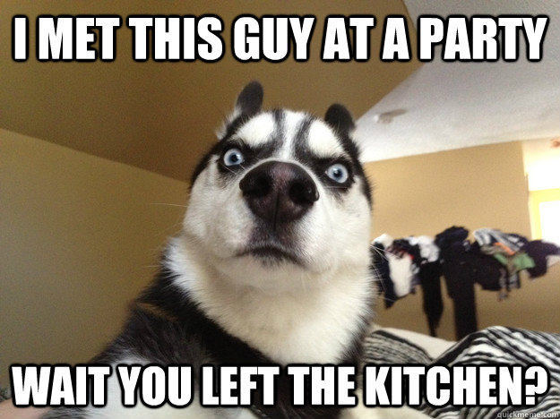 I met this guy at a party wait you left the kitchen? - I met this guy at a party wait you left the kitchen?  Realization Dog