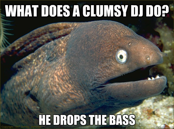 What does a clumsy DJ do? He drops the bass Caption 3 goes here  Bad Joke Eel