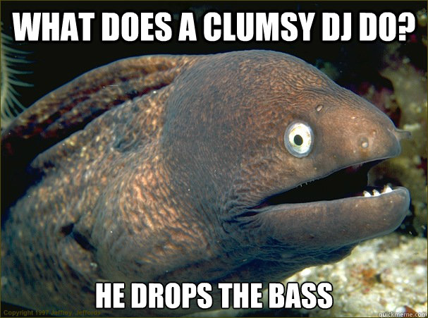 What does a clumsy DJ do? He drops the bass Caption 3 goes here  Bad Joke Eel