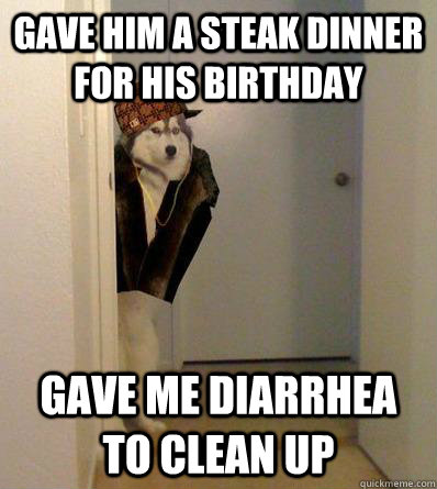 GAVE HIM A STEAK DINNER FOR HIS BIRTHDAY GAVE ME DIARRHEA TO CLEAN UP  Scumbag dog