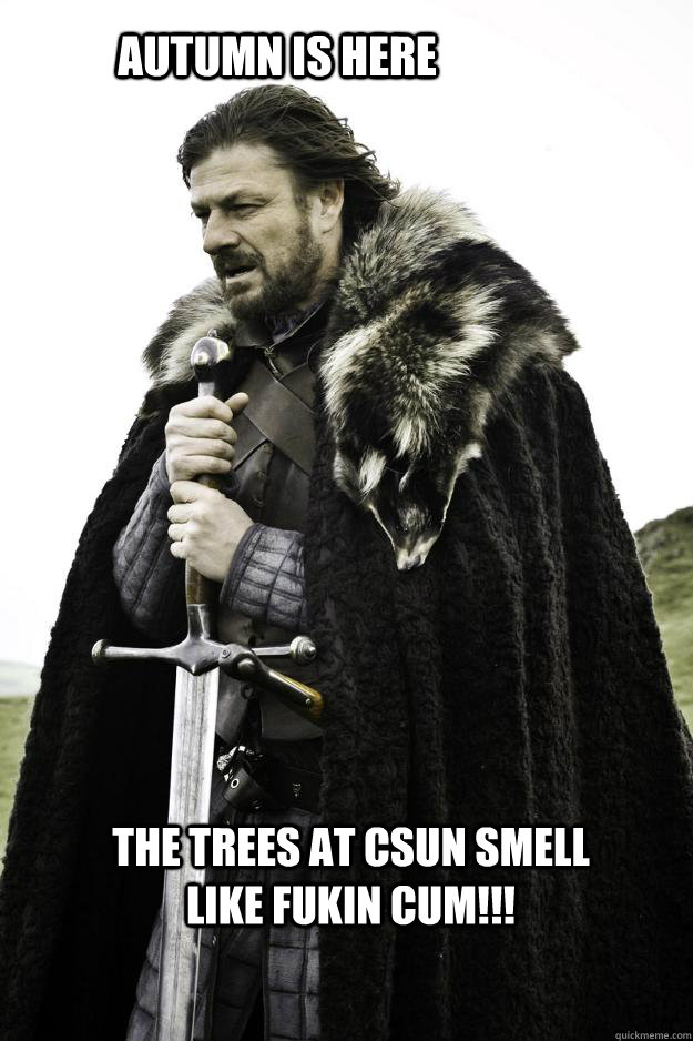 Autumn is here The trees at CSUN smell like fukin cum!!! - Autumn is here The trees at CSUN smell like fukin cum!!!  WinterisComing