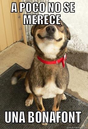 A POCO NO SE MERECE  UNA BONAFONT Good Dog Greg