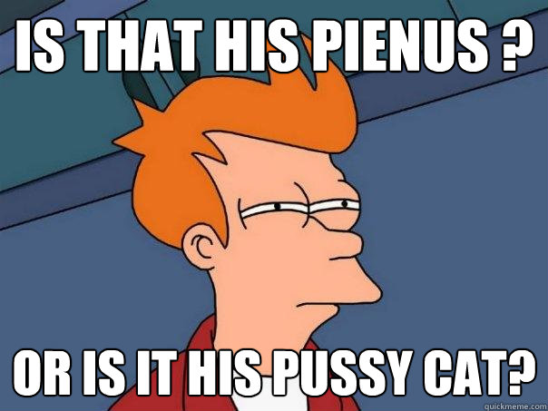 is that his pienus ? Or is it his pussy cat?  Futurama Fry