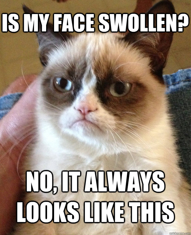 Is my face swollen? No, it always looks like this - Is my face swollen? No, it always looks like this  Grumpy Cat