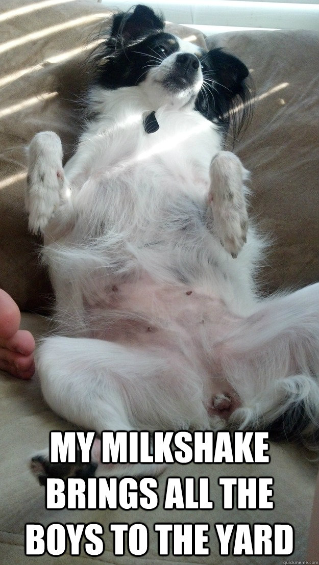  MY MILKSHAKE BRINGS ALL THE BOYS TO THE YARD  Milkshake