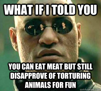 what if i told you You can eat meat but still disapprove of torturing animals for fun  Matrix Morpheus