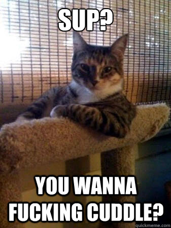 sup? you wanna fucking cuddle? - sup? you wanna fucking cuddle?  The Most Interesting Cat in the World