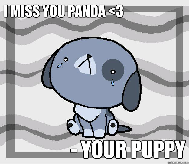 I MISS YOU PANDA <3 - YOUR PUPPY - I MISS YOU PANDA <3 - YOUR PUPPY  Miss you