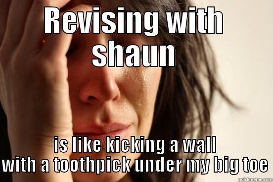 REVISING WITH SHAUN IS LIKE KICKING A WALL WITH A TOOTHPICK UNDER MY BIG TOE First World Problems