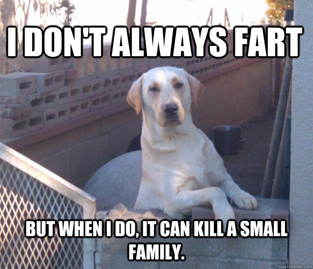 I don't always fart but when I do, it can kill a small family.  