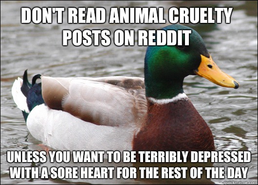 Don't read animal cruelty posts on reddit Unless you want to be terribly depressed with a sore heart for the rest of the day  Actual Advice Mallard