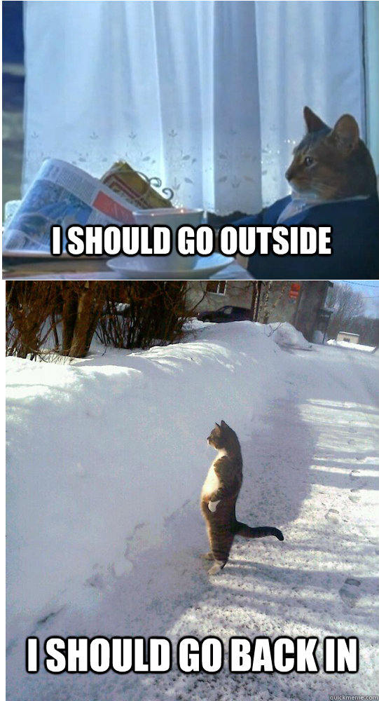 I should go outside i should go back in - I should go outside i should go back in  Misc