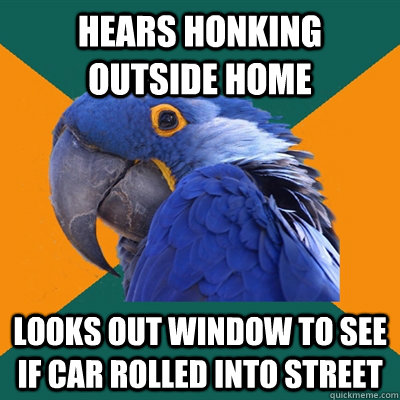 Hears honking outside home Looks out window to see if car rolled into street  Paranoid Parrot