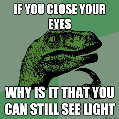 If you close your eyes Why is it that you can still see light  Philosoraptor