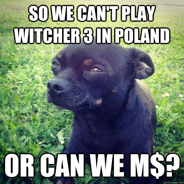 So we can't play Witcher 3 in poland or can we M$? - So we can't play Witcher 3 in poland or can we M$?  Skeptical Dog