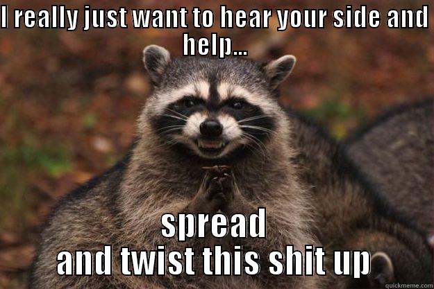 I REALLY JUST WANT TO HEAR YOUR SIDE AND HELP... SPREAD AND TWIST THIS SHIT UP Evil Plotting Raccoon