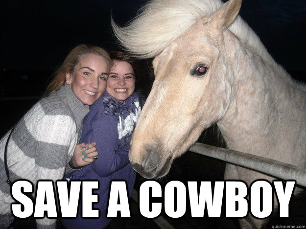  Save a Cowboy  Ridiculously Photogenic Horse