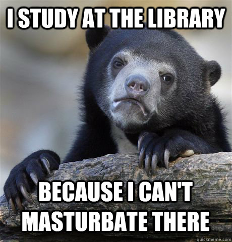 I study at the library because I can't masturbate there - I study at the library because I can't masturbate there  Confession Bear