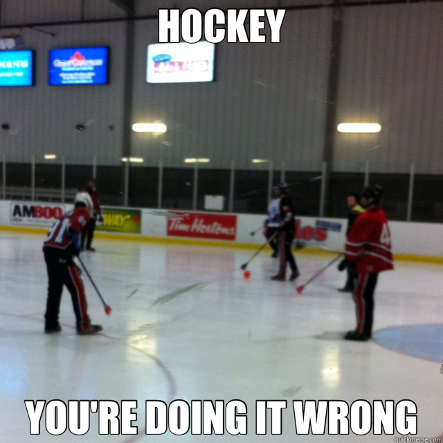 HOCKEY YOU'RE DOING IT WRONG  bsbsbs