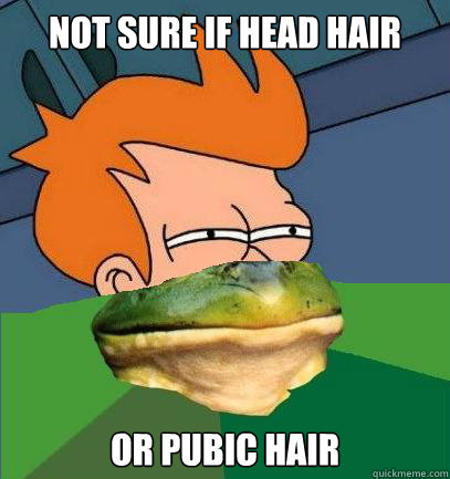 Not sure if head hair Or pubic hair - Not sure if head hair Or pubic hair  Foul Bachelor Fry