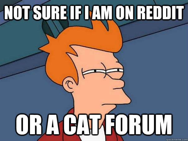 Not sure if i am on reddit or a cat forum  Futurama Fry
