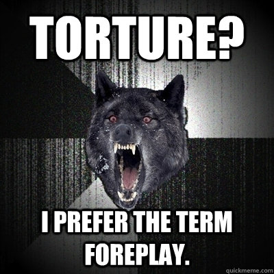 Torture? I prefer the term foreplay.  Bullets - Insanity wolf