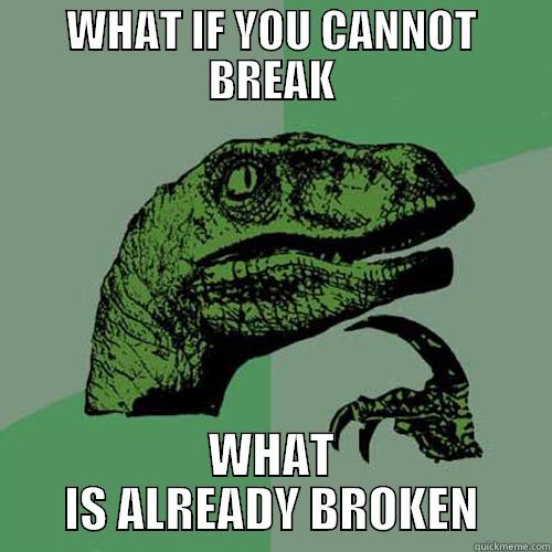WHAT IF YOU CANNOT BREAK WHAT IS ALREADY BROKEN Philosoraptor