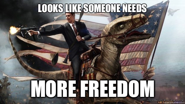 Looks like someone needs More freedom  - Looks like someone needs More freedom   MURICA