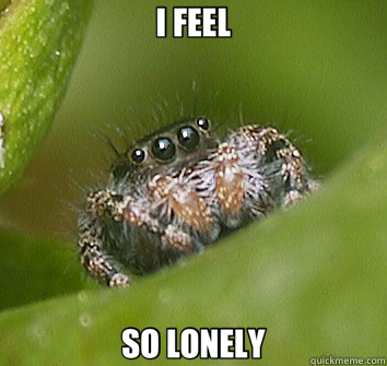 I FEEL SO LONELY  Misunderstood Spider