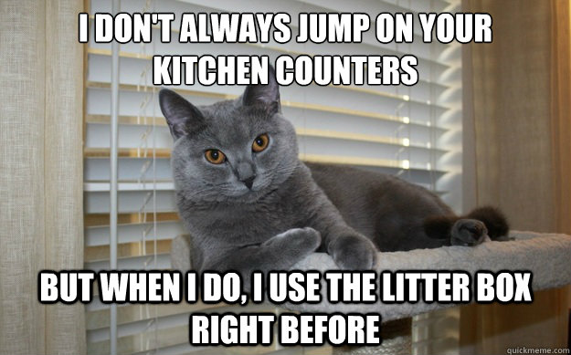 I don't always jump on your 
kitchen counters But when I do, I use the litter box right before  The Most Interesting Cat in the World
