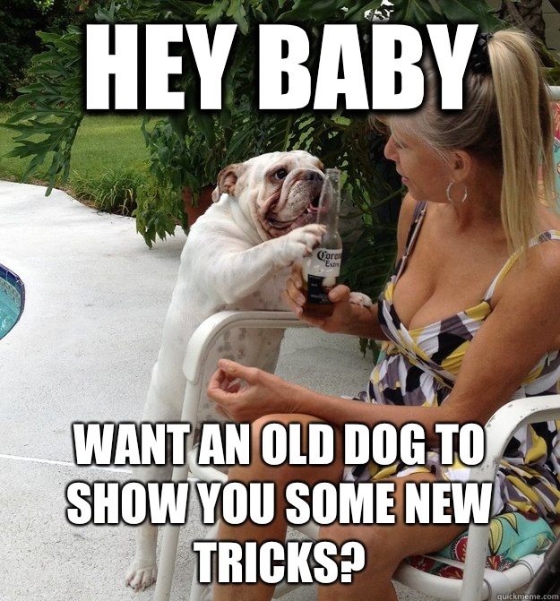 Hey baby Want an old dog to show you some new tricks?  