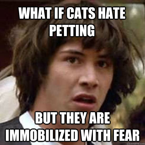 What if cats hate petting  but they are immobilized with fear - What if cats hate petting  but they are immobilized with fear  conspiracy keanu