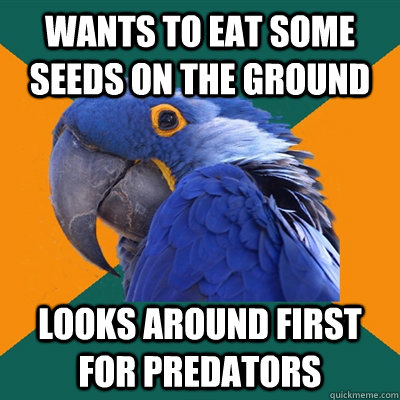 Wants to eat some seeds on the ground looks around first for predators  Paranoid Parrot