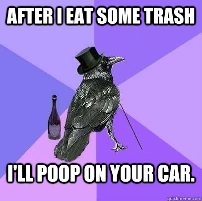 After I eat some trash I'll poop on your car.  Rich Raven