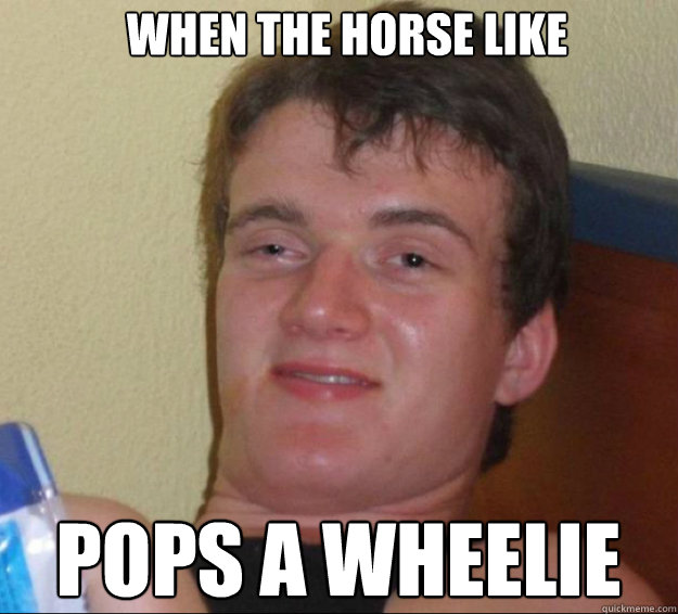when the horse like pops a wheelie  10guy