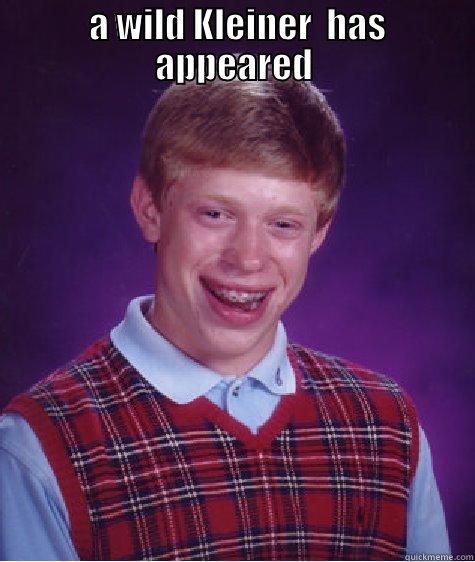  A WILD KLEINER  HAS APPEARED  Bad Luck Brian