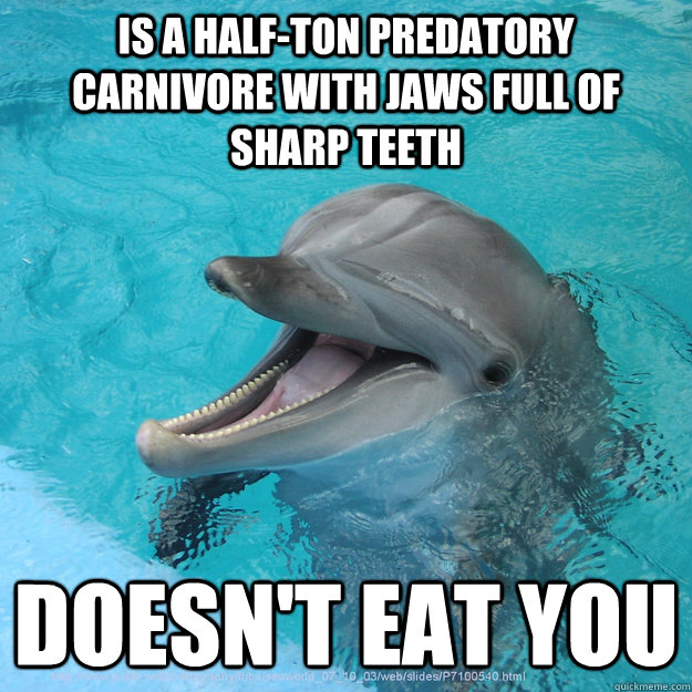 is a half-ton predatory carnivore with jaws full of sharp teeth doesn't eat you  Good Guy Dolphin