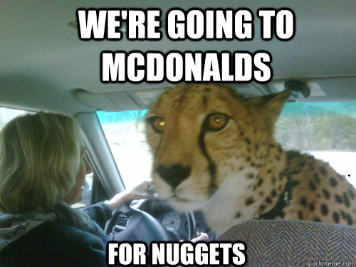 We're going to mcdonalds for nuggets  Chill Cheetah