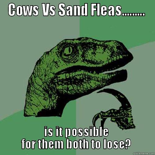 COWS VS SAND FLEAS......... IS IT POSSIBLE FOR THEM BOTH TO LOSE? Philosoraptor