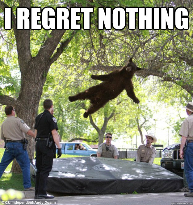 I regret nothing   falling bear