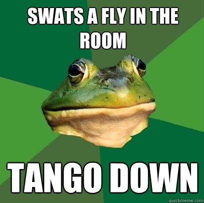 Swats a fly in the room TANGO DOWN  Foul Bachelor Frog