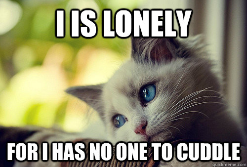 I is lonely for i has no one to cuddle  First World Problems Cat