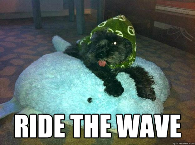  RIDE THE WAVE -  RIDE THE WAVE  Misc