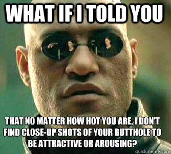 what if i told you that no matter how hot you are, i don't find close-up shots of your butthole to be attractive or arousing?  Matrix Morpheus