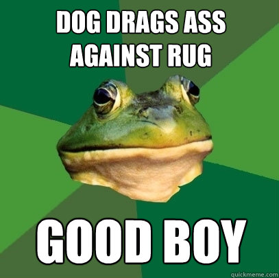 dog drags ass  against rug good boy  Foul Bachelor Frog
